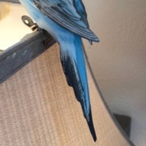 Cute! Vintage Porcelain Bisque Parakeet/Budgie Clip on Bird - Picture 8 of 9